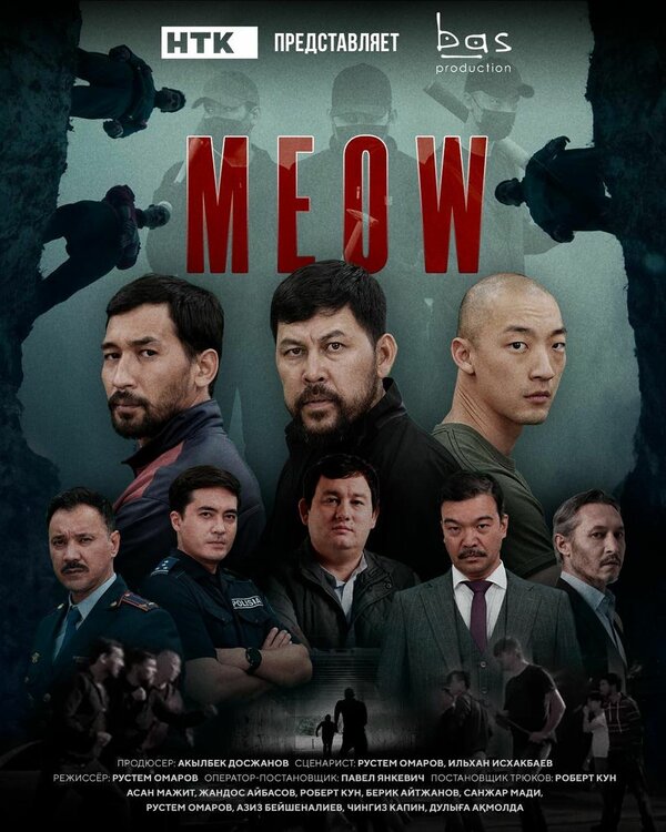 C for Meow